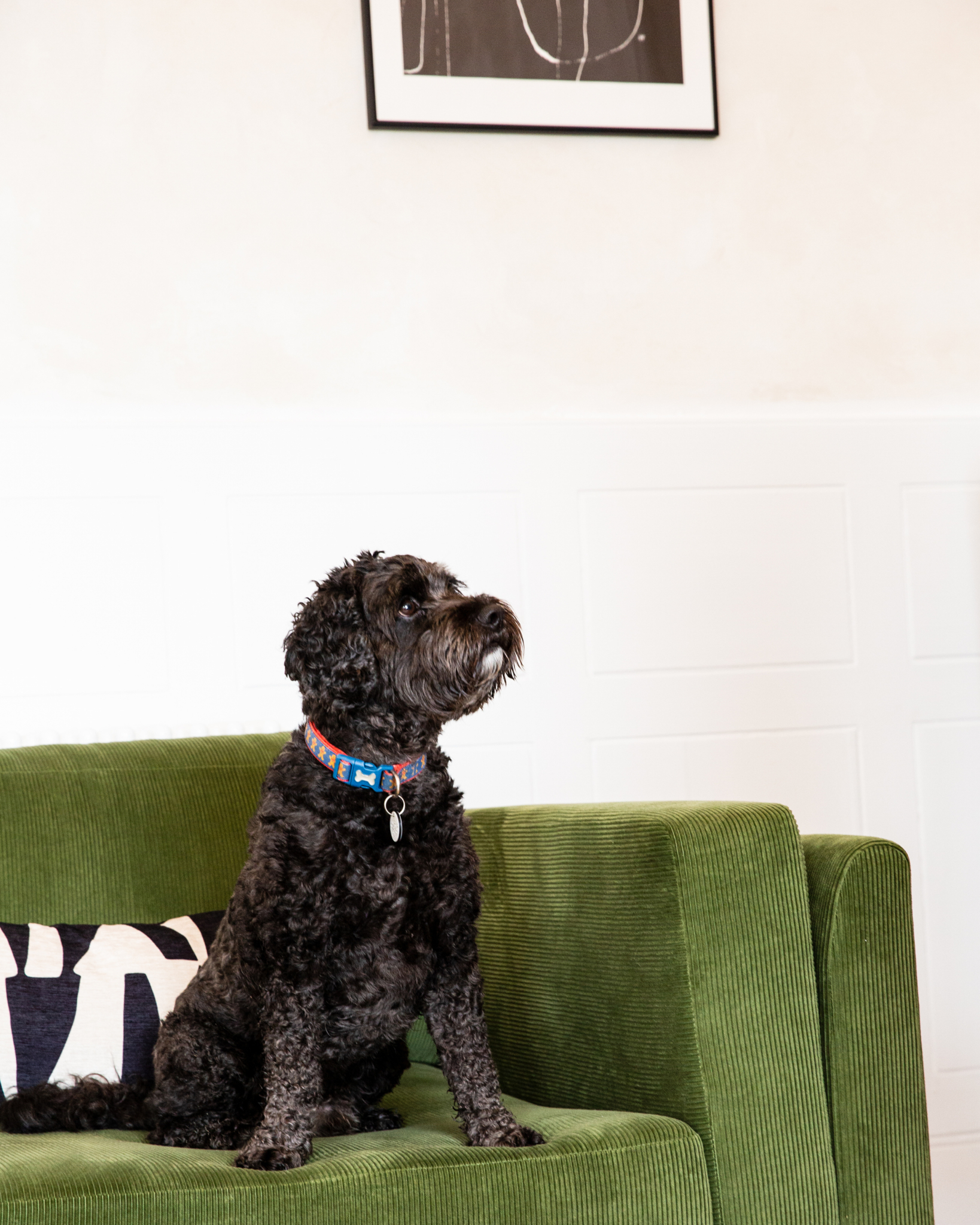 BLOCK CAFE DOGS8