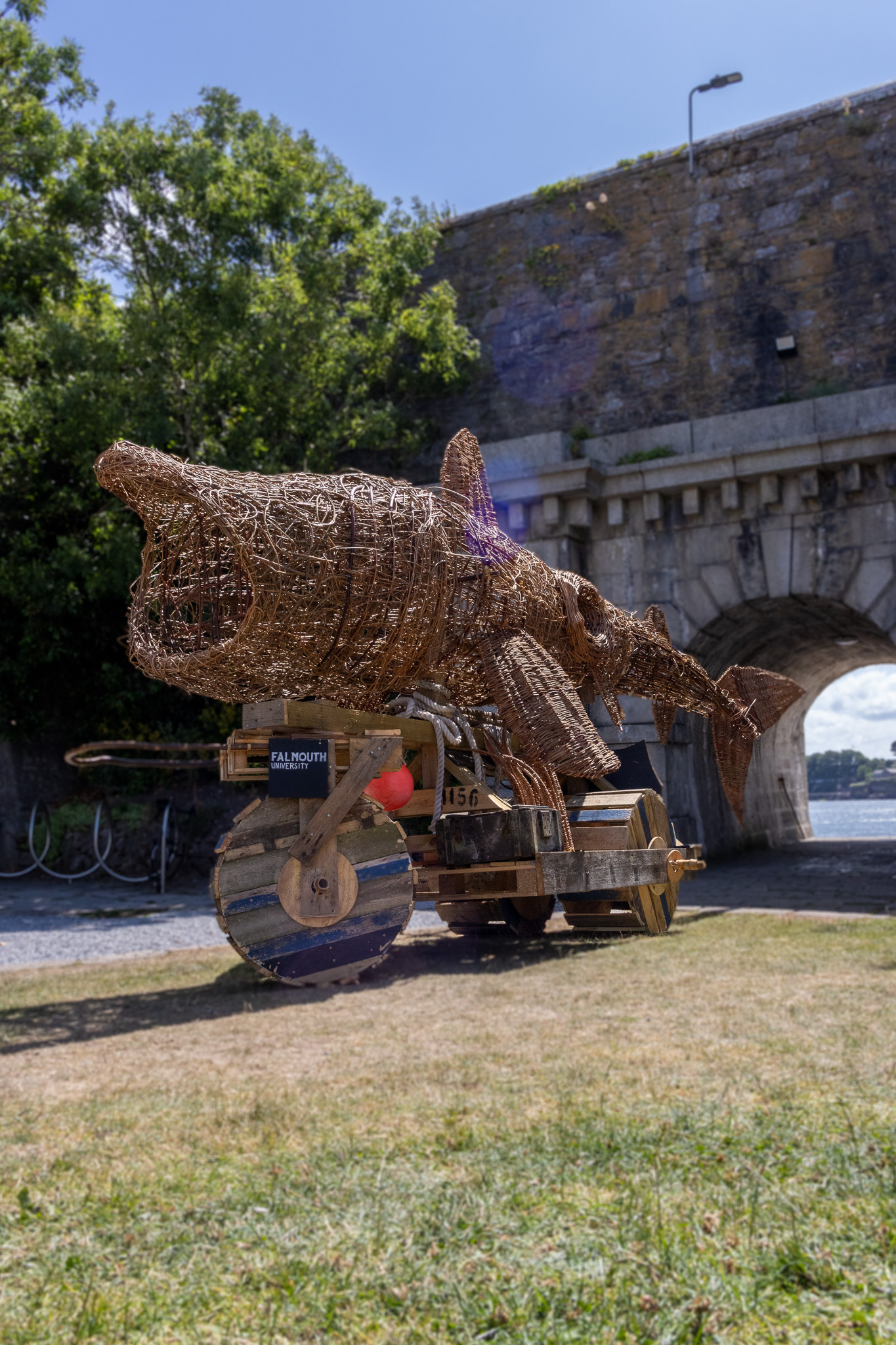 Basket Shark