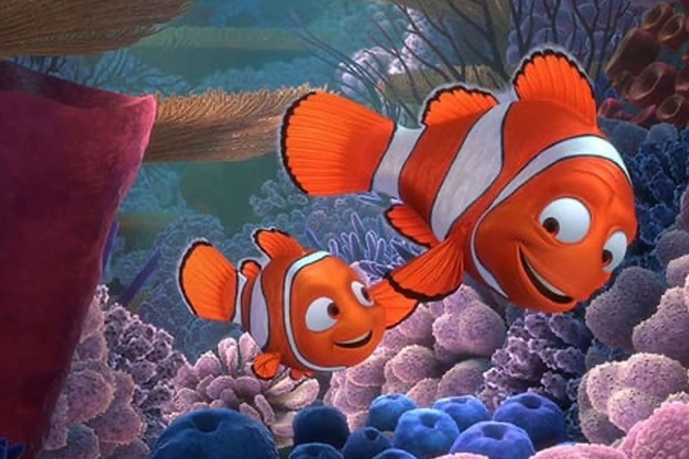 EVERYMAN Finding Nemo