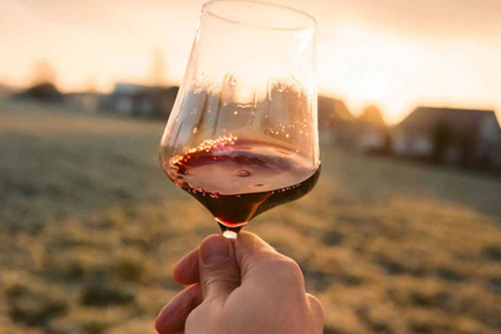 Le Vignoble Grand Summer Wine Tasting