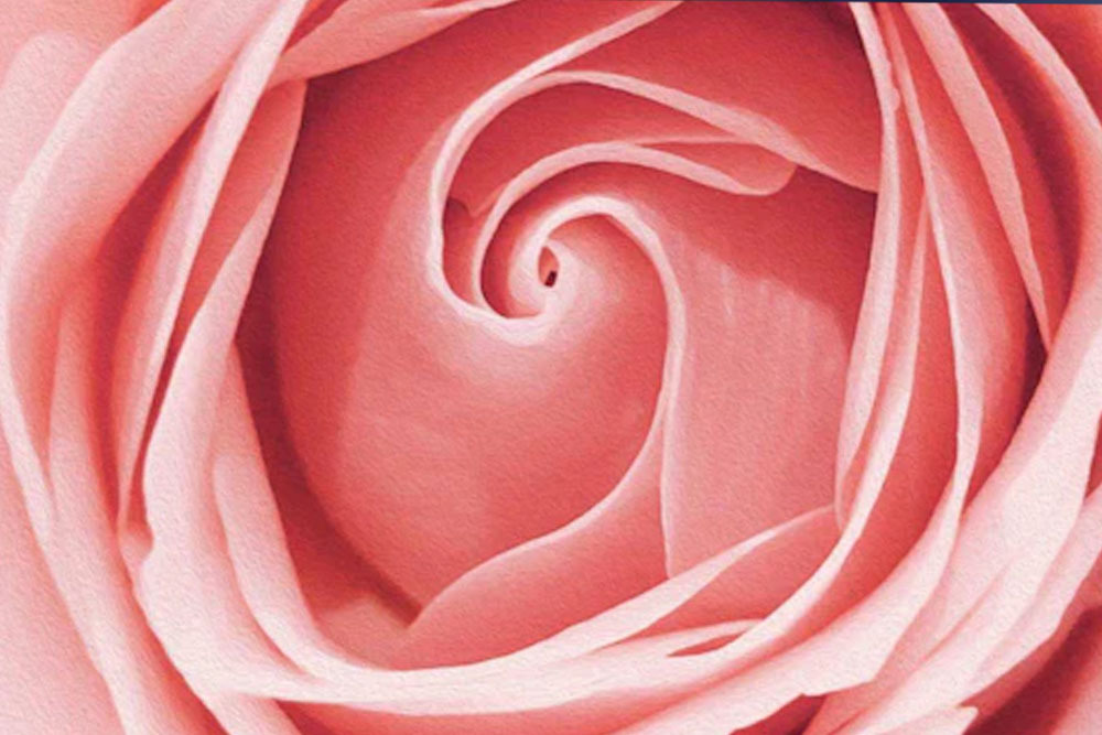 Le Vignoble Think Pink