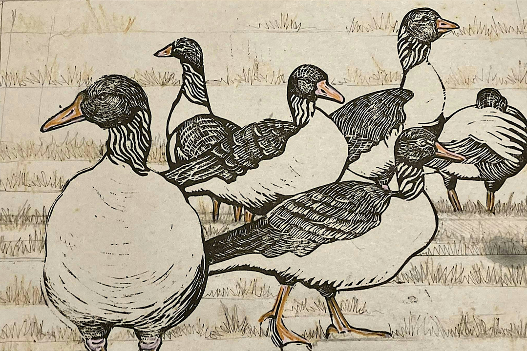 Ocean Lino Xmas Card