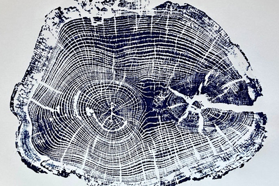 Ocean Tree Ring Print