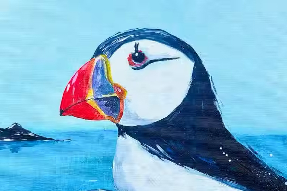 Puffins