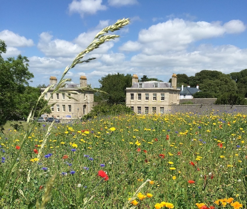 Royal William Yard Various Best Destination Images 057
